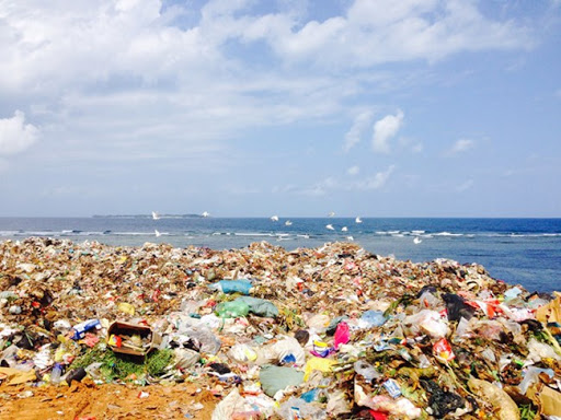 ô nhiễm môi trường biển là gì